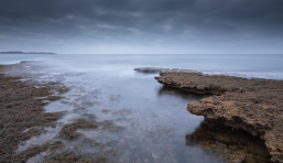 Intertidal Zone - Paul Cant (Commended)